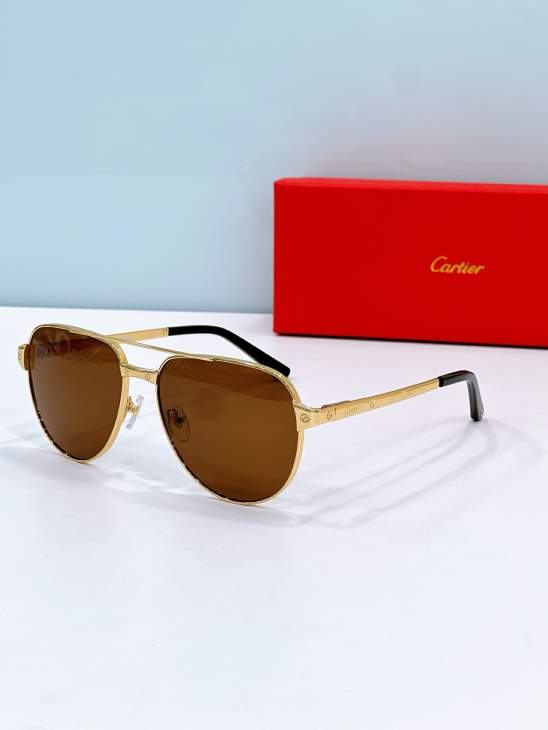 Picture of Cartier Sunglasses _SKUfw80537472fw